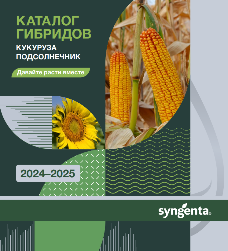 Каталог 1