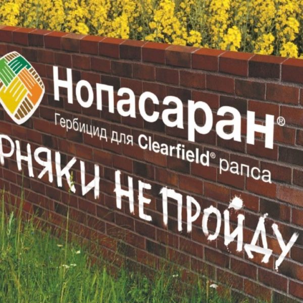 НОПАСАРАН®